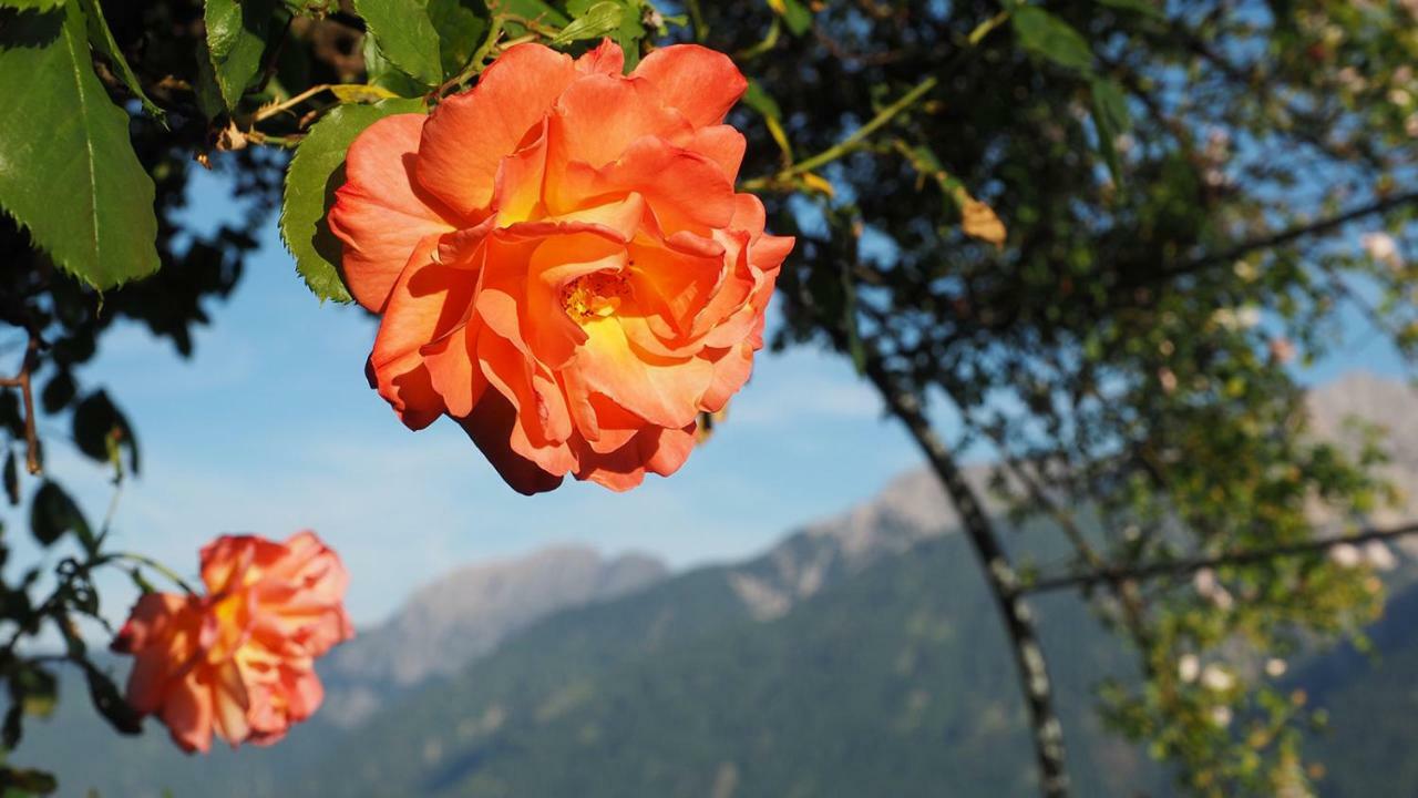 Apartament Bergh Am Berg Irschen Zewnętrze zdjęcie